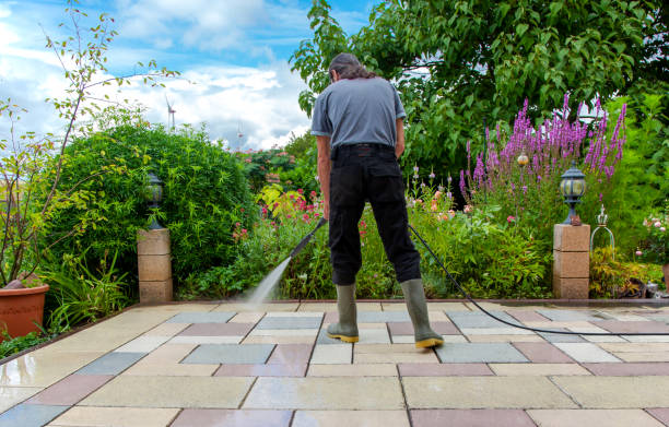 Best Animal Enclosure Cleaning  in Mocksville, NC